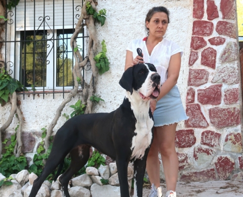 KIKA DE TORROSELLA DEL FITO