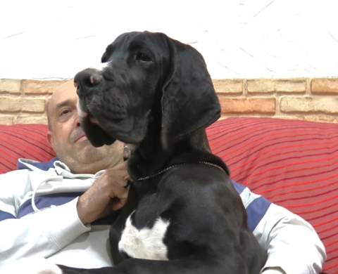 SIRIUS BLACK DE TORROSELLA DEL FITO